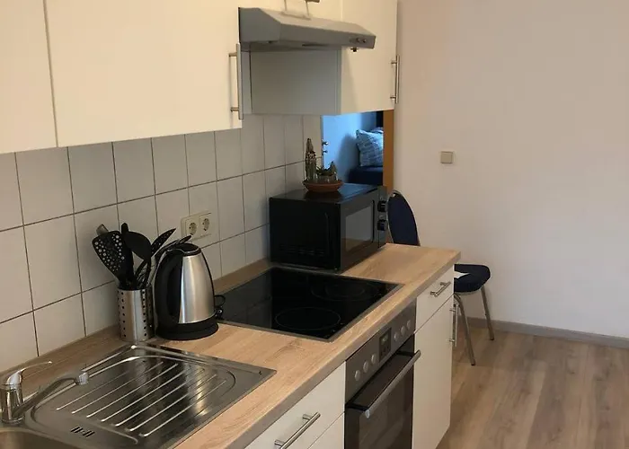 Monteurwohnung In Neuschoenefeld アパート ライプツィヒ